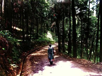 People walking on footpath in forest