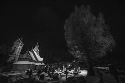 Statue against trees at night