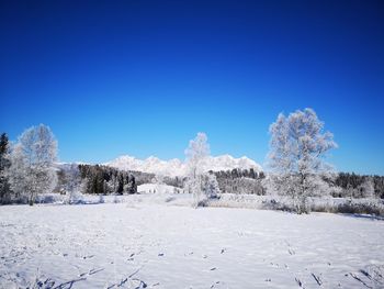 Snow covered field against clear blue sky