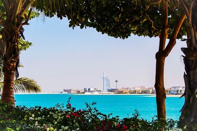 Sea with city in background