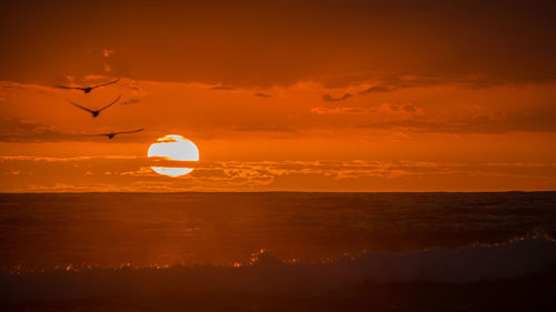 Silhouette bird flying over sea against orange sky