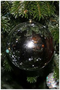 Low angle view of illuminated christmas tree