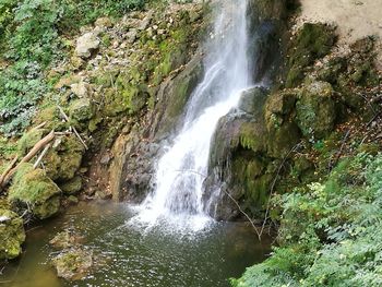 Scenic view of waterfall in forest