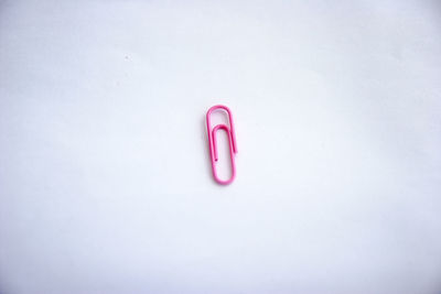 High angle view of pink ring on white background
