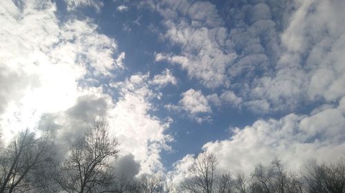 Low angle view of trees against cloudy sky