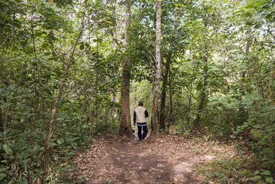 Rear view of person walking on road amidst trees in forest