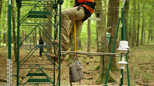 Rear view of man working on metal structure