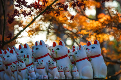 Close-up of toys for sale in market