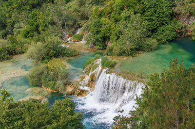 High angle view of waterfall in forest