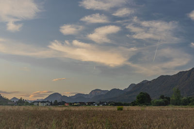 Scenic view of agricultural field against sky