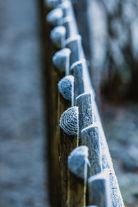 Close-up of chain hanging on metal fence