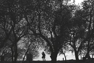 Woman standing on tree trunk