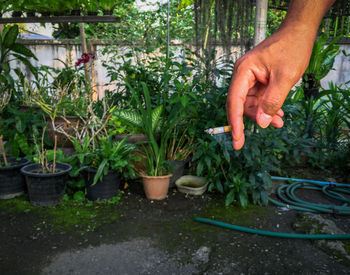 Hand holding potted plant in yard