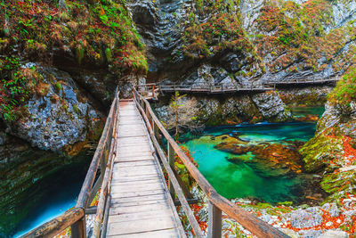 Bridge over river in forest