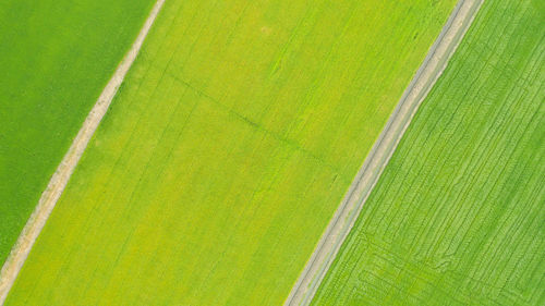 Full frame shot of green field