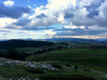 Scenic view of agricultural field against sky