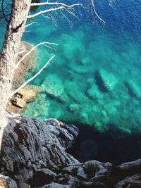 High angle view of rock formation in sea