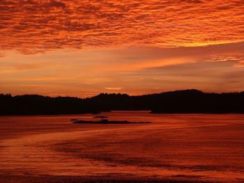 Scenic view of silhouette trees against sky during sunset