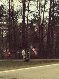 Full length of woman standing on tree trunk