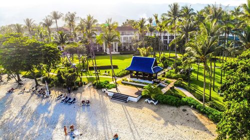 High angle view of palm trees by street in city