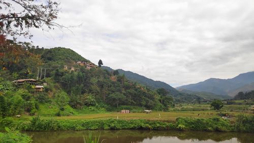 Scenic view of landscape against sky