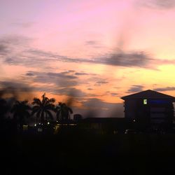 Silhouette of trees at sunset