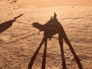 Shadow of person on a desert