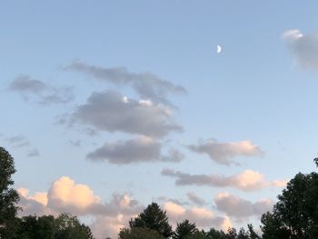 Low angle view of silhouette trees against sky