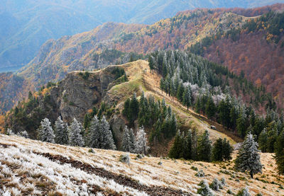 Scenic view of carpathian mountain