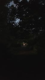 Full frame shot of trees against sky