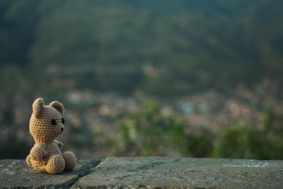 Close-up of stuffed toy on rock