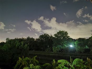 Trees on field against sky