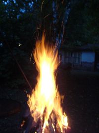 Close-up of bonfire at night