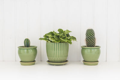 Close-up of potted plants on table against wall