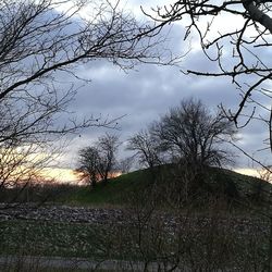 Low angle view of bare trees against cloudy sky