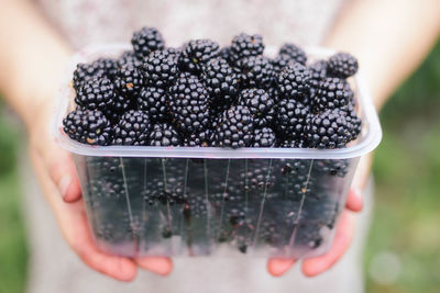 Midsection of woman holding blackberries in container