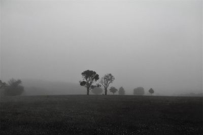 Scenic view of grassy field against sky