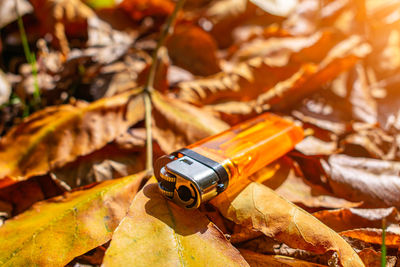 Orange colored gas pocket lighter thrown on fall foliage