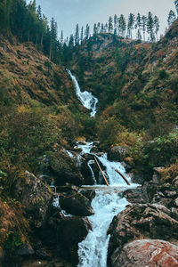 Scenic view of waterfall in forest