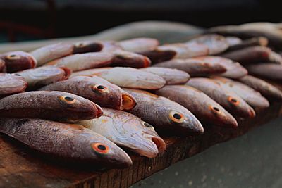 Close-up of fish for sale at market