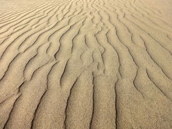 Full frame shot of sand dune