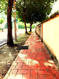 Sidewalk along trees in park