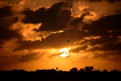 Silhouette of birds flying against cloudy sky