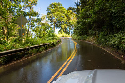 Road amidst trees in city