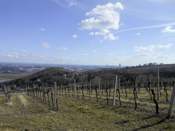 Scenic view of farm against blue sky