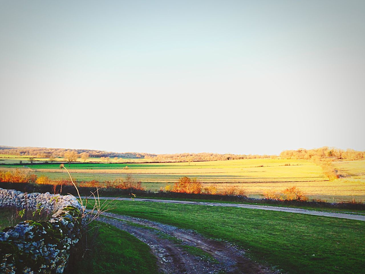 clear sky, landscape, copy space, tranquil scene, tranquility, field, rural scene, scenics, grass, agriculture, nature, beauty in nature, farm, growth, non-urban scene, day, horizon over land, road, remote, blue