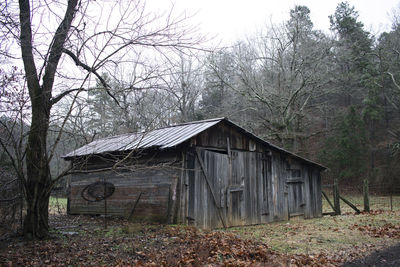 Abandoned house in forest against sky