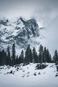 Trees on snow covered mountain against sky