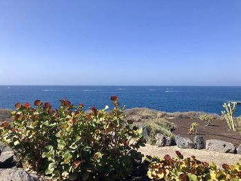 Scenic view of sea against clear sky