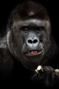 Close-up portrait of face against black background